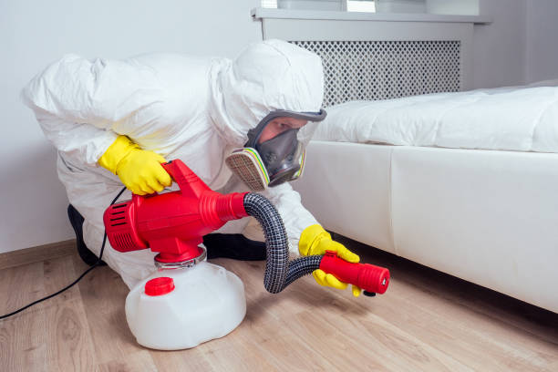 Best Pest Control for Multi-Family Homes  in Willow Springs, MO